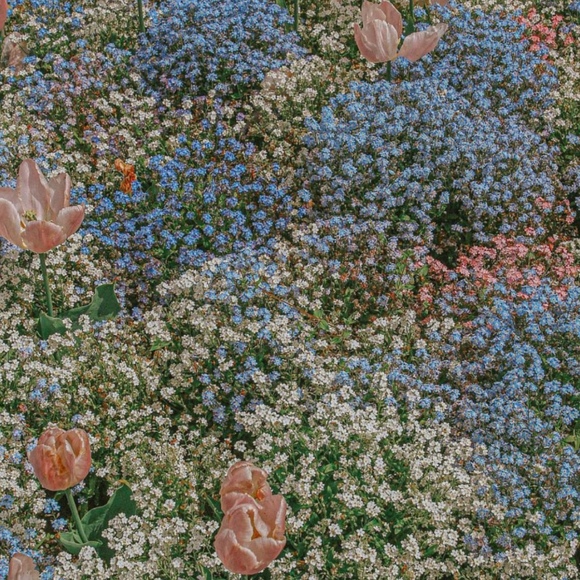 Meet your Posher, Posh - Picture 1 of 1